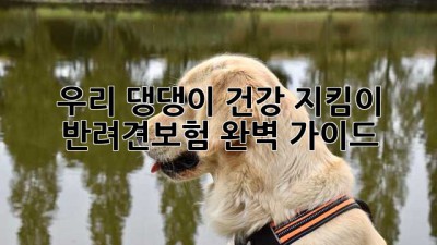 우리 댕댕이 건강 지킴이, 반려견보험 완벽 가이드