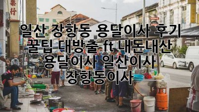 🚚💨 일산 장항동 용달이사 후기: 꿀팁 대방출! (ft. 내돈내산) #용달이사 #일산이사 #장항동이사